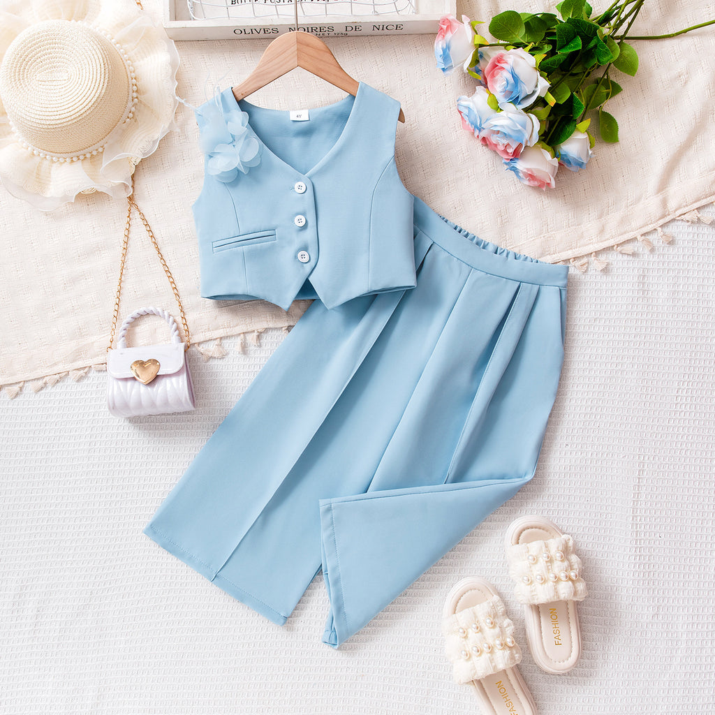 V-neck top and pants set